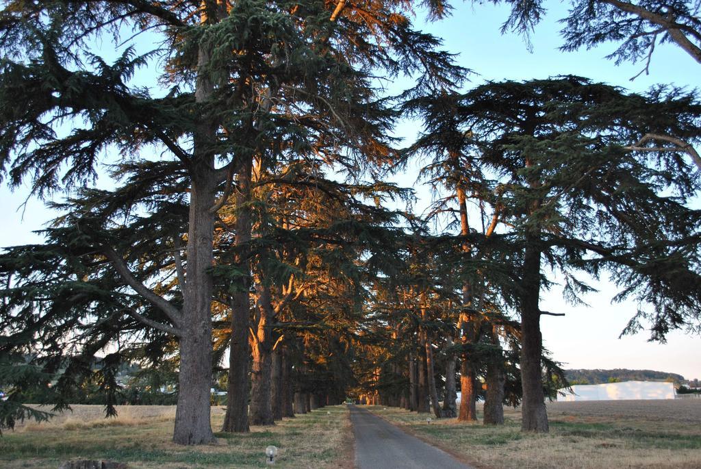 Logis Hotels - Chateau Saint Marcel Boé Esterno foto